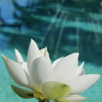 Kurzy osobního rozvoje 2