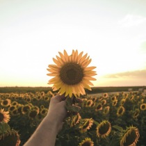 Kurzy osobního rozvoje 9